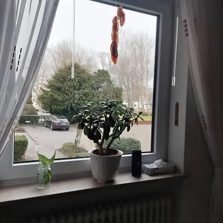 2rooms In A Beautiful 12min Walk From Center